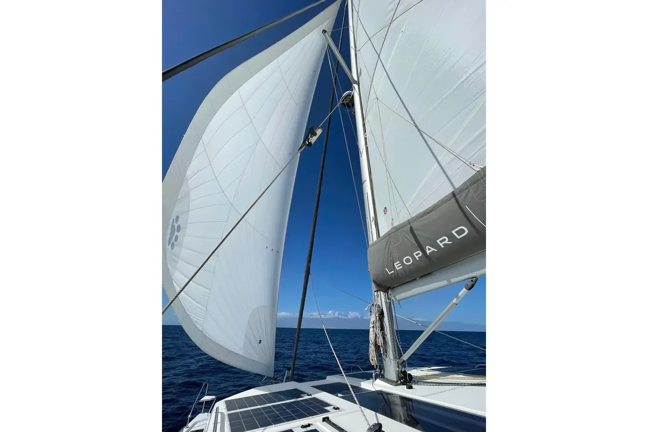 Leopard 42 usata in vendita