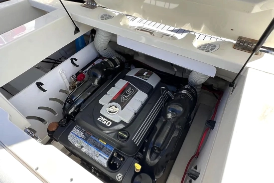 Sea Ray SPX 230 E usado à venda