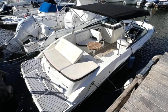 Sea Ray SPX 230 E usado à venda