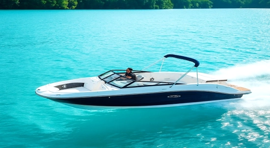 Sea Ray SPX 230 E usado à venda