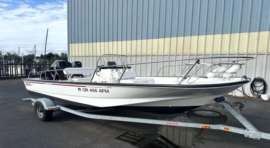 Boston Whaler 170 Montauk de segunda mano en venta