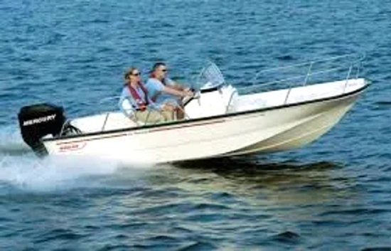 Boston Whaler 170 Montauk de segunda mano en venta
