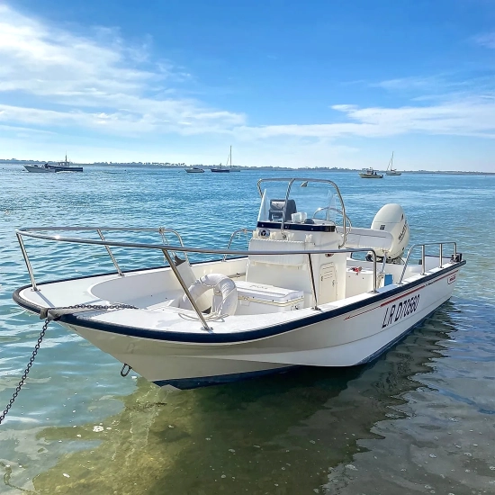 Boston Whaler 170 Montauk de segunda mano en venta