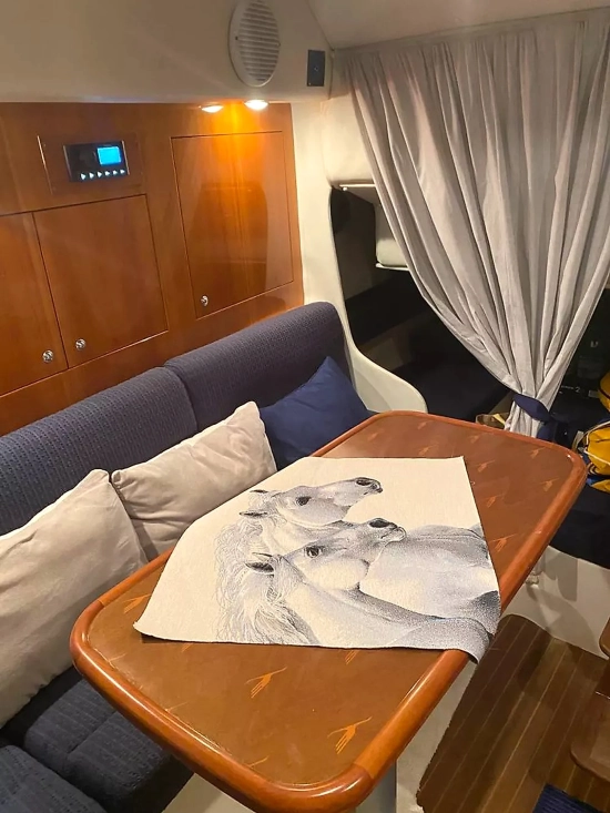 Airon Marine 325 usata in vendita