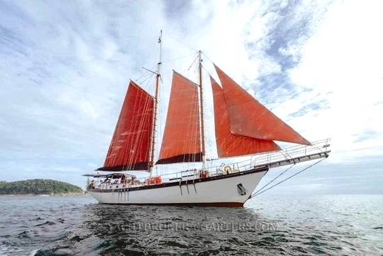 Custom Bud Macintosh schooner de segunda mano en venta