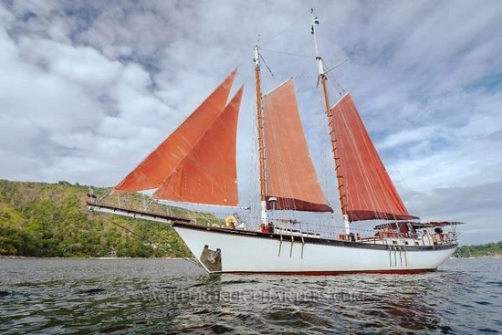 Custom Bud Macintosh schooner de segunda mano en venta