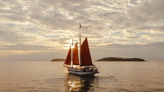 Custom Bud Macintosh schooner de segunda mano en venta