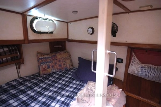 KingFisher 40 de segunda mano en venta