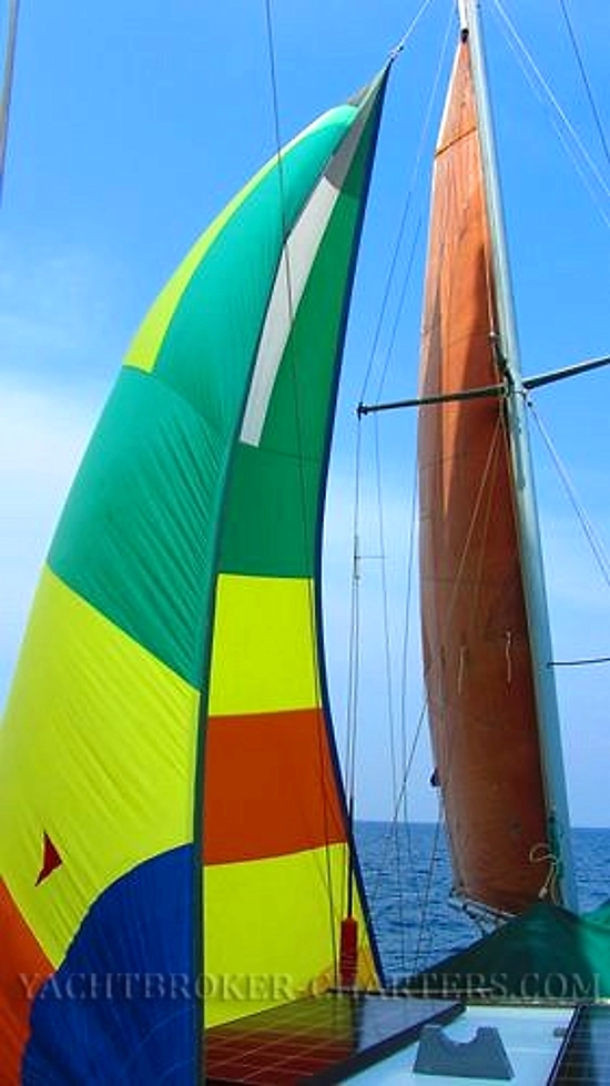 KingFisher 40 de segunda mano en venta