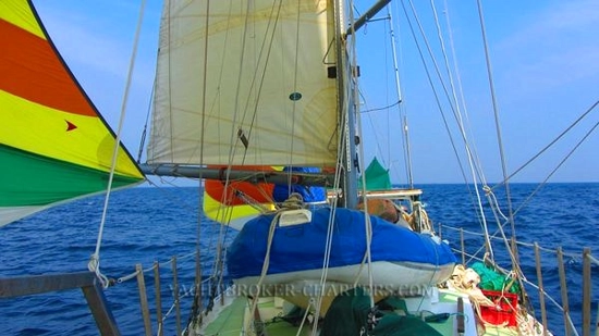 KingFisher 40 de segunda mano en venta