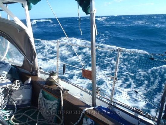 KingFisher 40 de segunda mano en venta