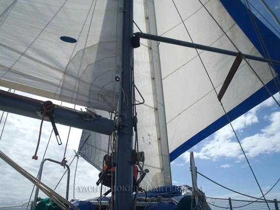 KingFisher 40 de segunda mano en venta
