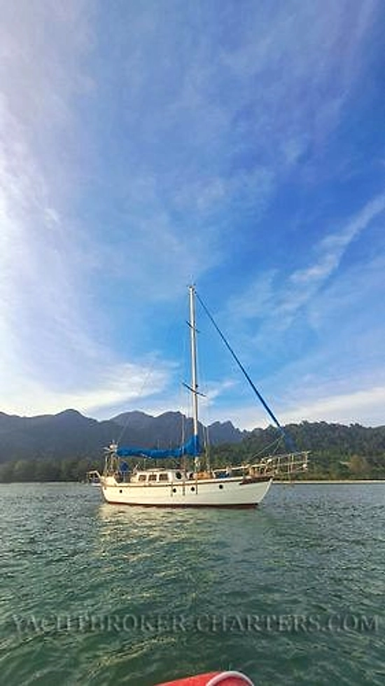 Sino American Yacht Landfall 39 usado à venda