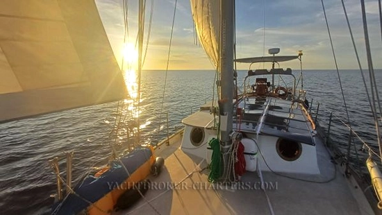 Sino American Yacht Landfall 39 usado à venda