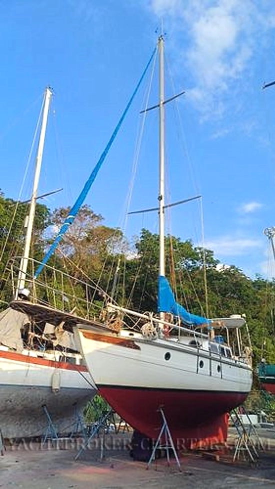 Sino American Yacht Landfall 39 usado à venda