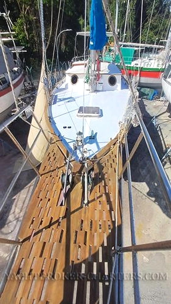 Sino American Yacht Landfall 39 usado à venda