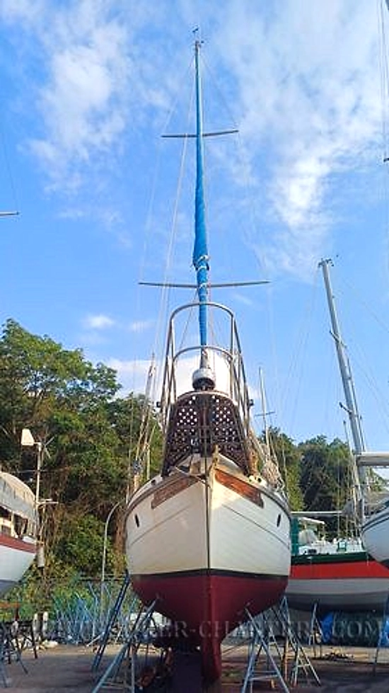 Sino American Yacht Landfall 39 usado à venda
