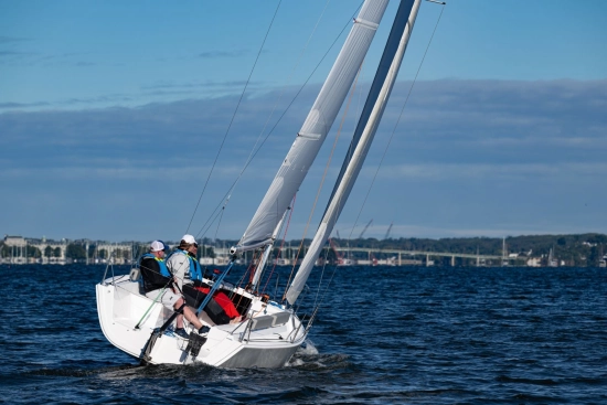 Z24 Daysailer nuevo en venta
