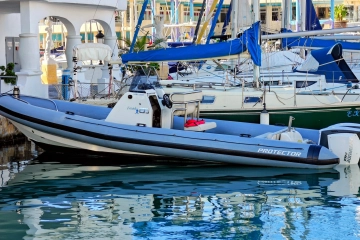 Protector RIB 8.75 m usata in vendita