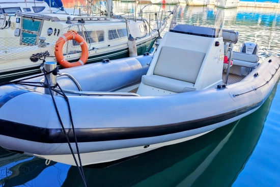 Protector RIB 8.75 m usado à venda