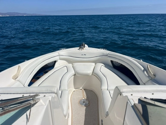 Sea Ray 290 BR usado à venda