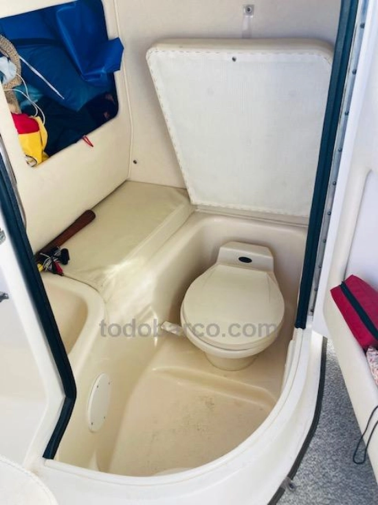 Sea Ray 290 BR usado à venda