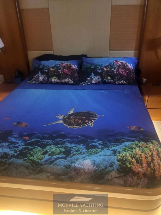 Posillipo Rizzardi Technema 65 usata in vendita