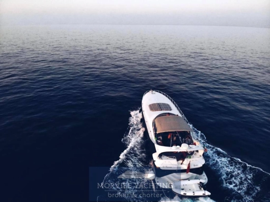 Mangusta 65 de segunda mano en venta