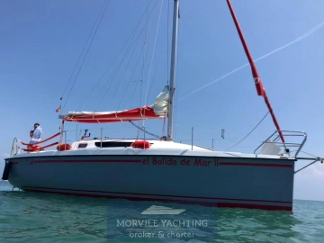 Nauti poland Focus 850 usata in vendita