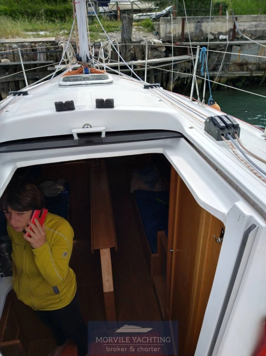 Nauti poland Focus 850 de segunda mano en venta