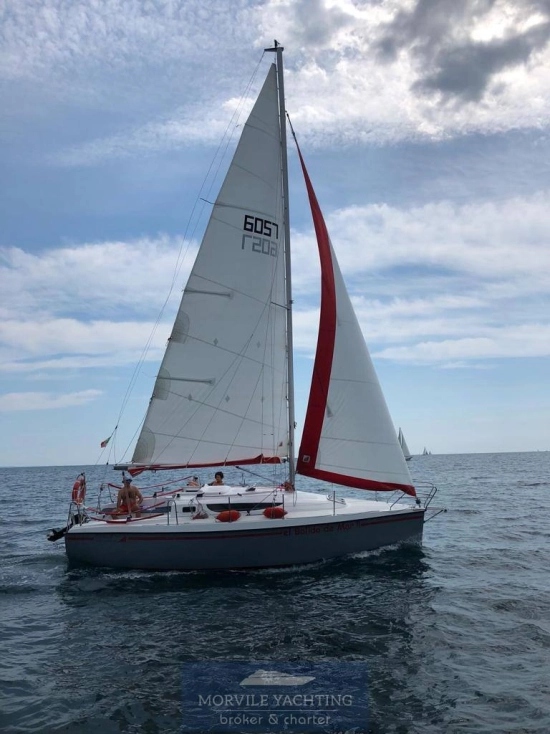 Nauti poland Focus 850 de segunda mano en venta