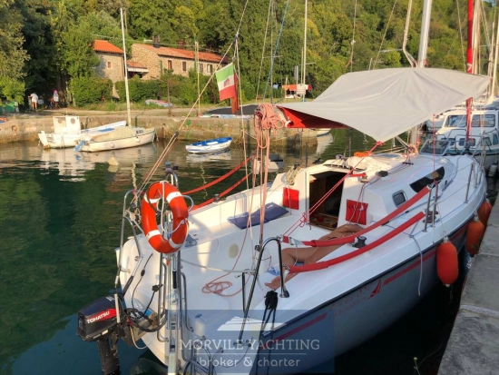 Nauti poland Focus 850 de segunda mano en venta