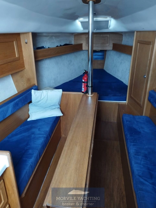 Nauti poland Focus 850 de segunda mano en venta