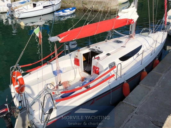 Nauti poland Focus 850 de segunda mano en venta