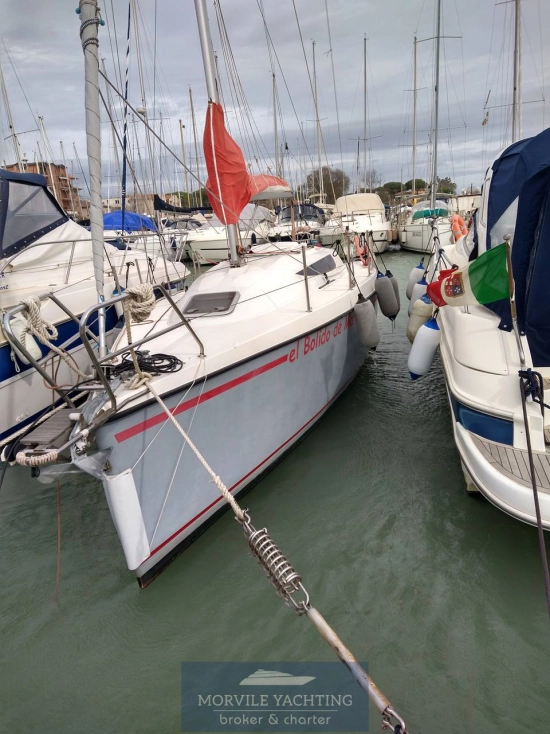 Nauti poland Focus 850 de segunda mano en venta