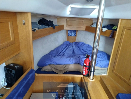 Nauti poland Focus 850 de segunda mano en venta