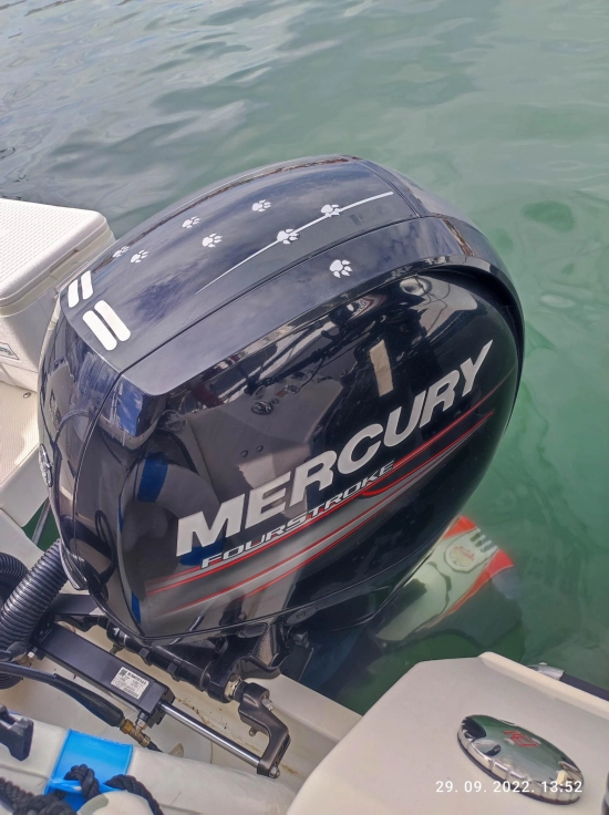 Quicksilver Pilothouse 605 de segunda mano en venta