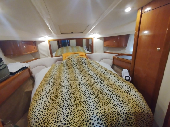 Sealine F37 usado à venda