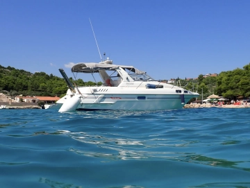 Sealine 290 usata in vendita