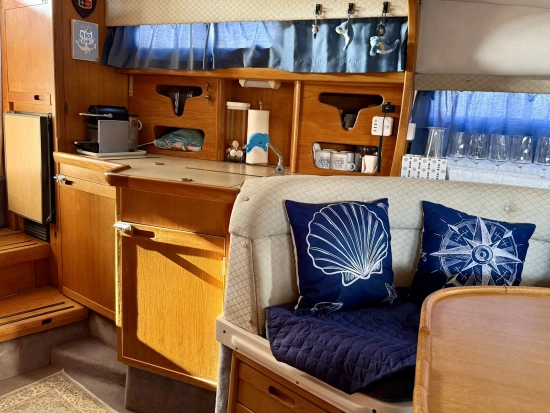 Sealine 290 de segunda mano en venta