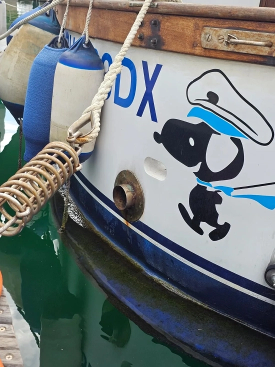 Sciallino 33 usata in vendita