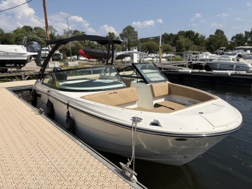 Sea Ray SDX 230 usata in vendita