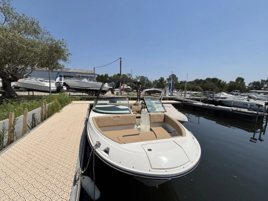 Sea Ray SDX 230 usata in vendita