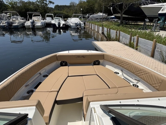 Sea Ray SDX 230 usata in vendita