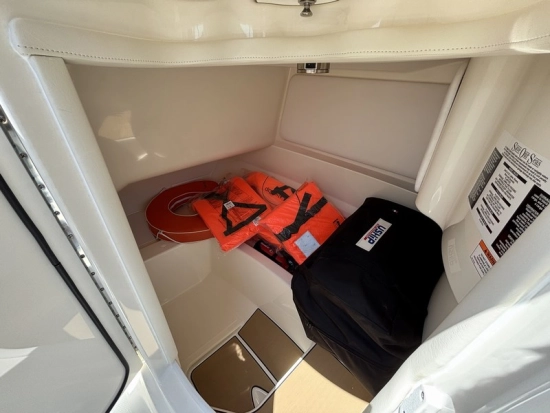 Sea Ray SDX 230 usata in vendita