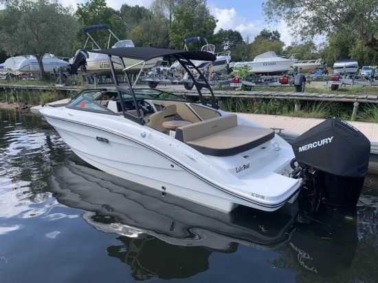 Sea Ray SPX 210 O B usado à venda