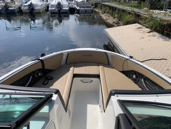 Sea Ray SPX 210 O B usado à venda