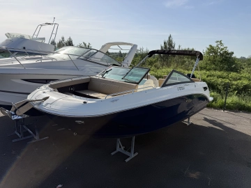 Sea Ray SDX 250 usata in vendita