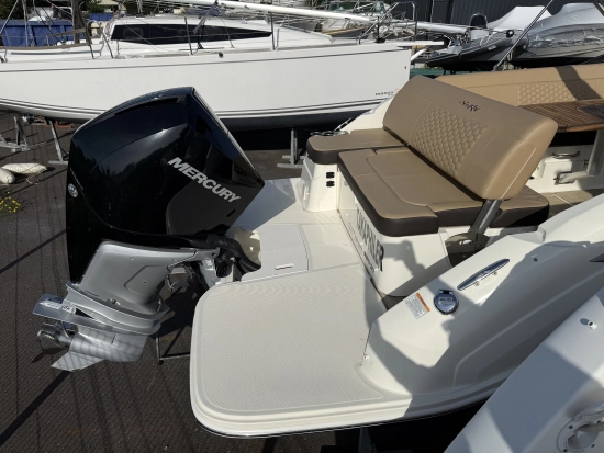 Sea Ray SDX 250 de segunda mano en venta