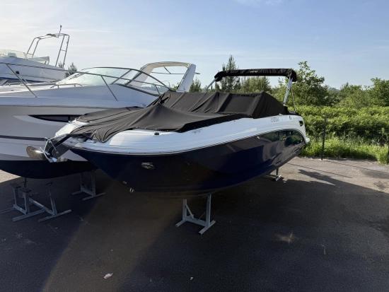 Sea Ray SDX 250 de segunda mano en venta